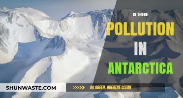 Antarctica's Pollution: What's the Reality?