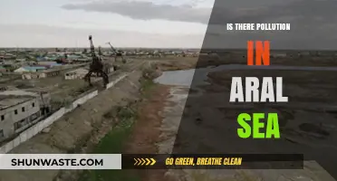 Aral Sea Pollution: A Troubling Legacy
