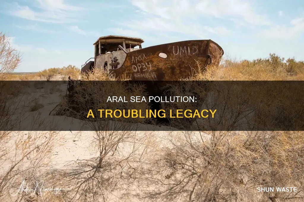 is there pollution in aral sea