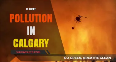 Calgary's Pollution Problem: What's the Real Story?