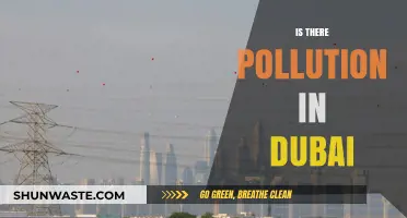 Dubai's Pollution: A Growing Concern?