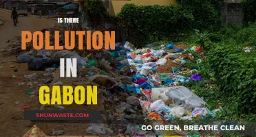 Gabon's Pollution: A Pristine Environment Under Threat?