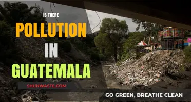 Guatemala's Pollution Problem: A Growing Concern