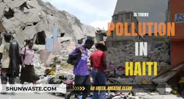 Haiti's Pollution Problem: A Critical Analysis