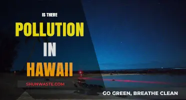 Hawaii's Pollution Problem: Is Paradise Lost?