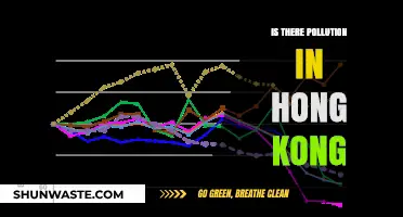 Hong Kong's Pollution Problem: A Critical Analysis