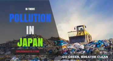 Japan's Pollution Problem: A Growing Concern?