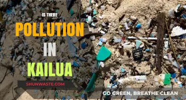 Kailua's Pollution Problem: Is Paradise Lost?