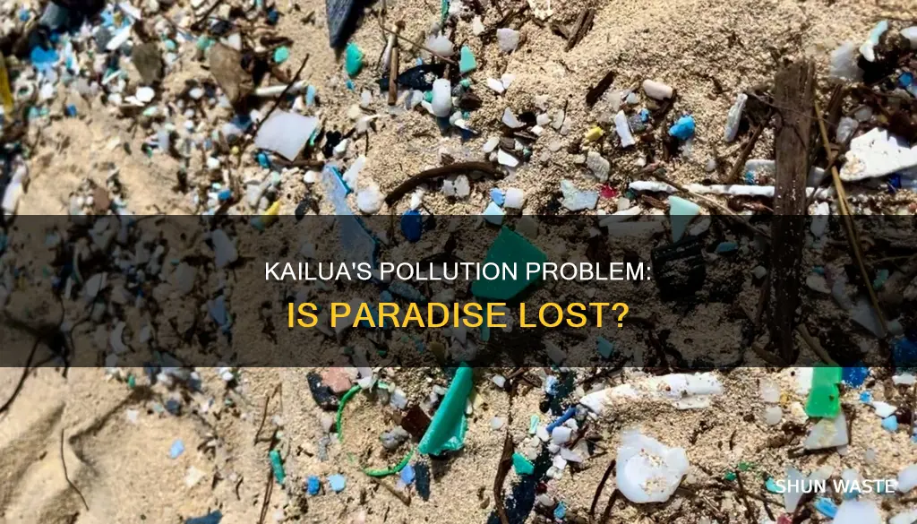 is there pollution in kailua