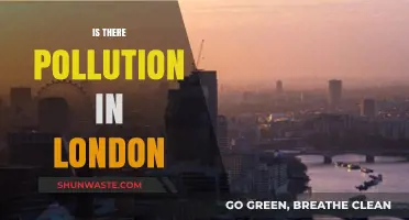 London's Pollution Problem: A Critical Analysis