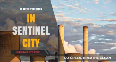 Sentinel City Pollution: A Hidden Crisis?