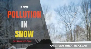 How Polluted is Our Snow?