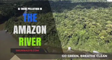 Amazon River Pollution: Is It a Concern?