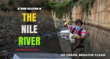 The Nile River: Pollution Threat?