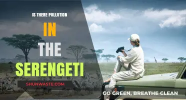 Serengeti's Pollution: A Threat to the Ecosystem