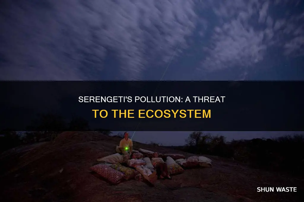 is there pollution in the serengeti
