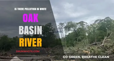 White Oak Basin River: A Polluted Paradise?