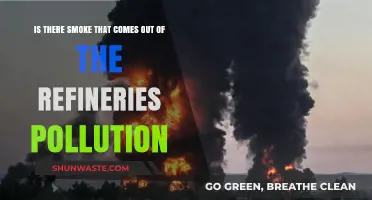 Refinery Smoke: What's the Pollution Story?