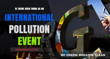 Global Pollution Events: A Real Threat?
