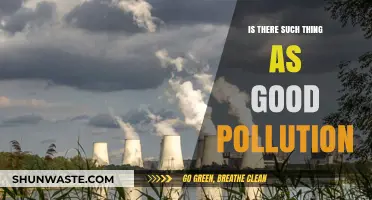 The Myth of Good Pollution: Understanding the True Impact