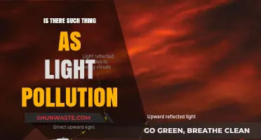 Light Pollution: Is it Real?