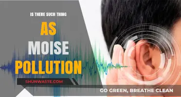 Noise Pollution: Is It a Real Threat?
