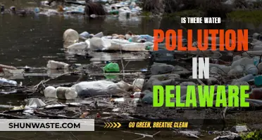 Delaware's Waterways: A Deep Dive into Pollution Concerns