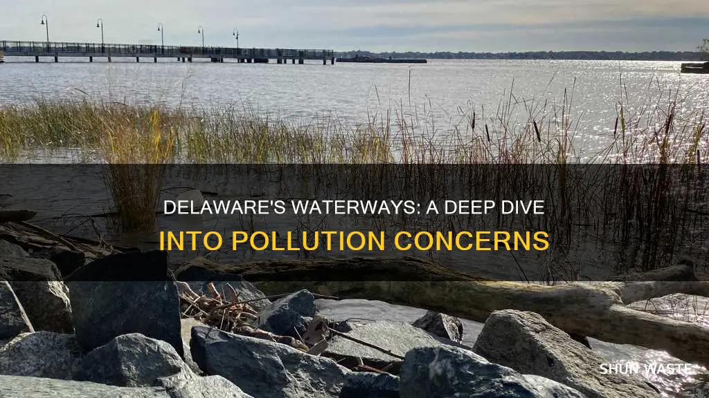 is there water pollution in delaware