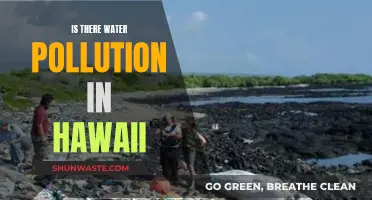 Hawaii's Hidden Water Crisis: A Deep Dive into Pollution