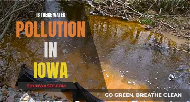 Iowa's Water Quality: A Deep Dive into Pollution Concerns