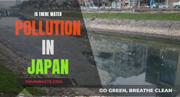 Japan's Water Quality: A Deep Dive into Pollution Concerns