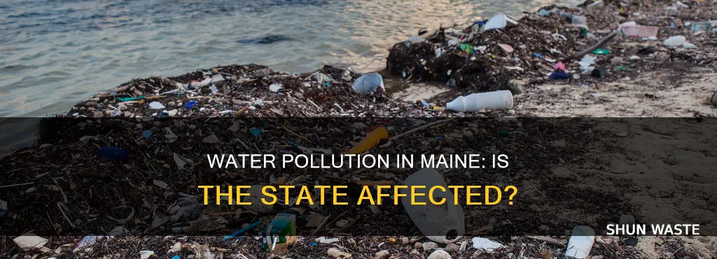 is there water pollution in maine