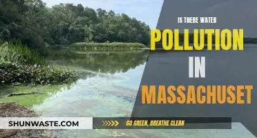 Clean Water Crisis: Unveiling Massachusetts' Hidden Pollution