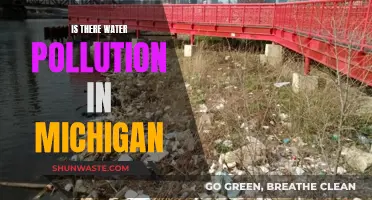 Michigan's Water Quality: A Deep Dive into Pollution Concerns