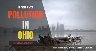 Ohio's Water Crisis: Unveiling the Hidden Dangers