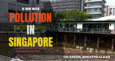 Singapore's Hidden Water Crisis: A Deep Dive