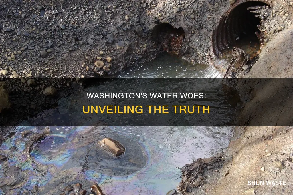 is there water pollution in washington