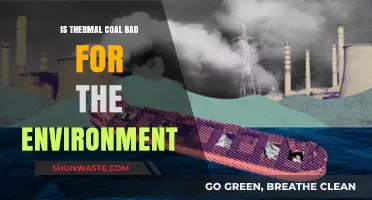 Thermal Coal's Environmental Impact: Harmful Effects and Sustainable Alternatives
