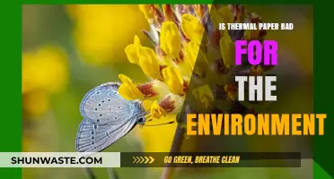 Thermal Paper's Environmental Impact: Sustainable or Harmful Choice?