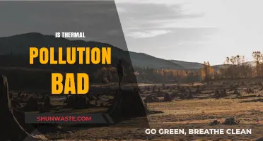 Thermal Pollution: A Growing Environmental Concern?
