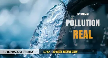 Thermal Pollution: A Real Threat to Our Planet
