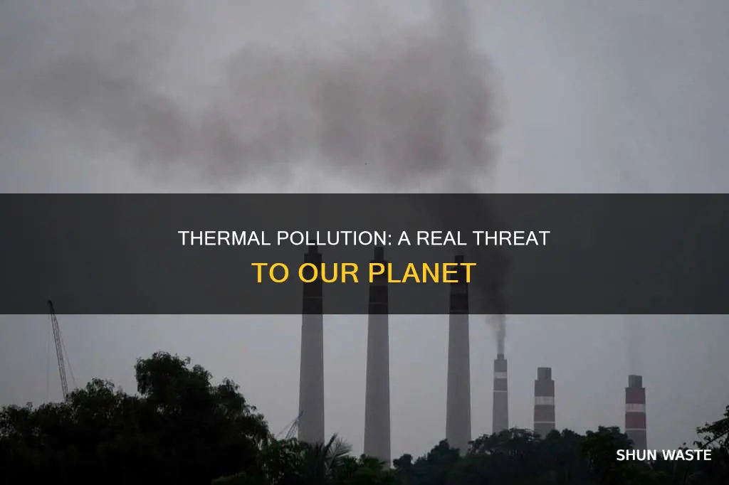 is thermal pollution real
