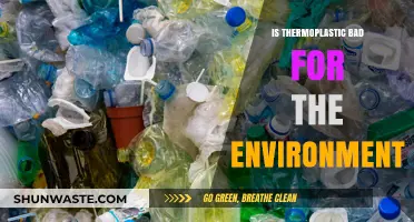 Thermoplastic's Environmental Impact: Harmful or Sustainable Choice?