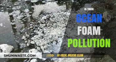 Ocean Foam: Pollution or Natural Wonder?