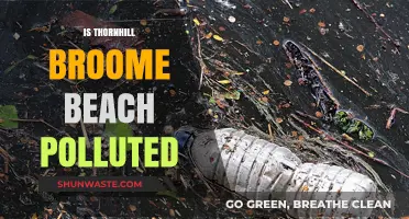 The Pollution Problem at Thornhill Broome Beach