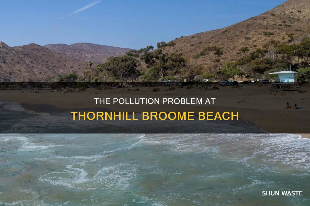 is thornhill broome beach polluted
