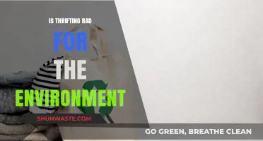 Is Thrifting Eco-Friendly? Uncovering the Environmental Impact of Secondhand Shopping