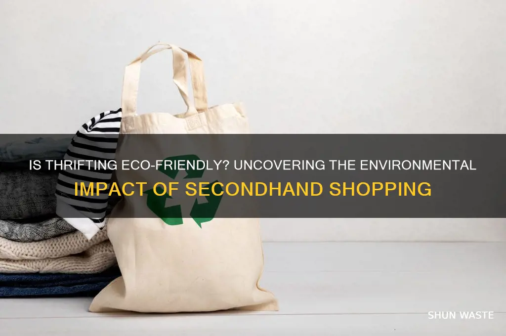 is thrifting bad for the environment