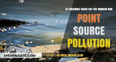 Littering and Non-Point Source Pollution: Trash Out the Window
