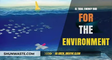 Tidal Energy's Environmental Impact: Sustainable Solution or Ecological Threat?